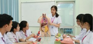 Trường Cao đẳng Y Dược Sài Gòn là địa chỉ đào tạo ngành sức khỏe được nhiều thí sinh lựa chọn